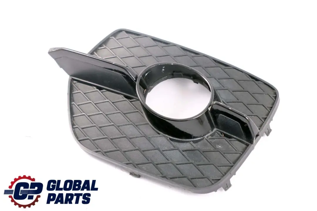 Front Bumper Fog Light Closed Grill Left Side N/S to BMW X6 Series E71 with Part number 7188383 BMW X6 Series E71 Front Bumper Fog Light Closed Grill Left Side N/S - SKU 7188383 - Part number 7188383
