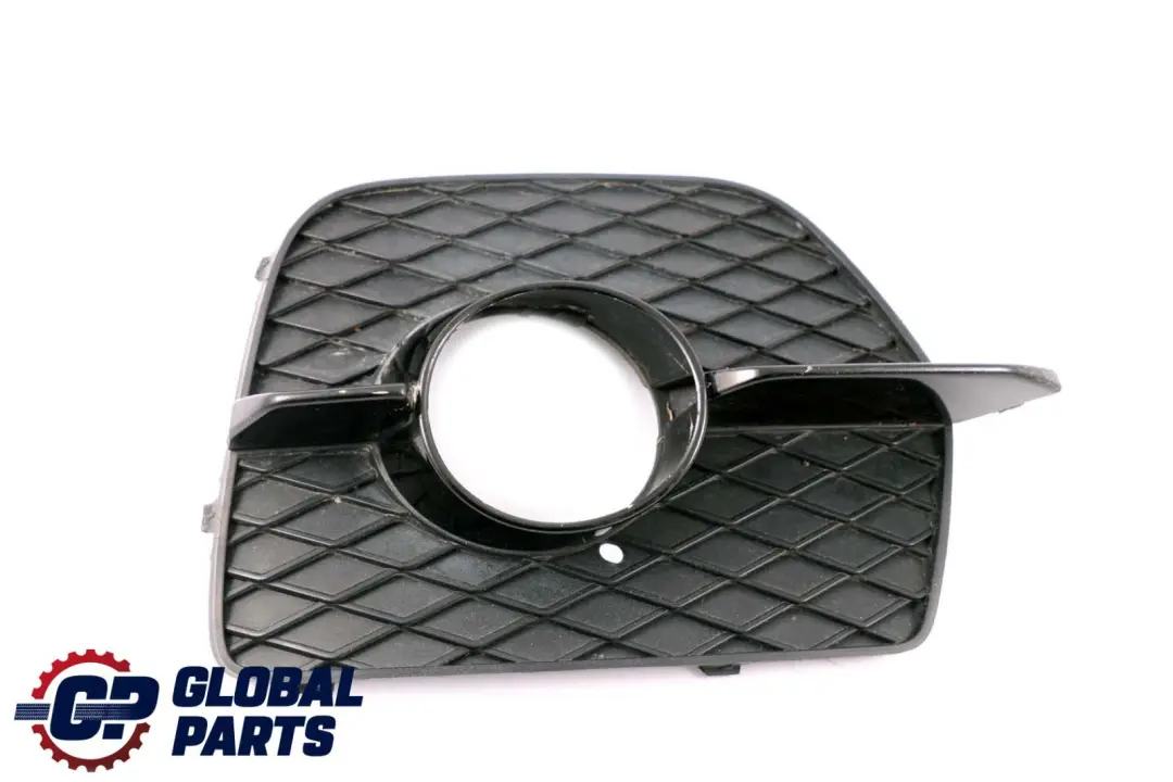 BMW X6 Series E71 Front Bumper Fog Light Closed Grill Left Side N/S - SKU 7188383 - Part number 7188383