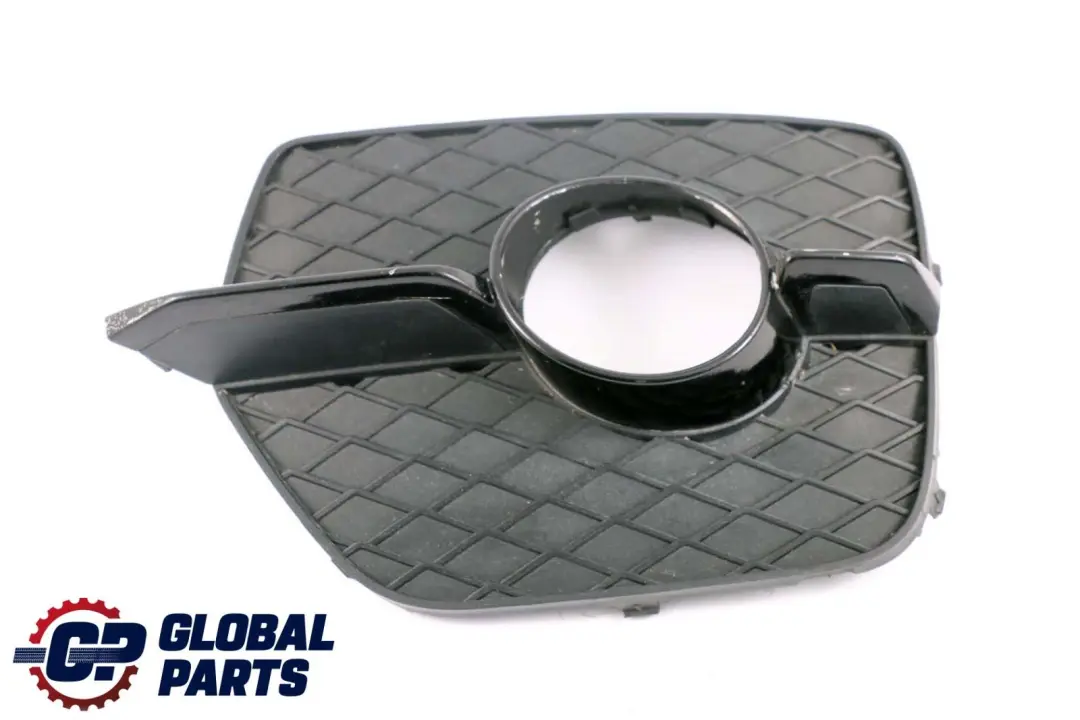 Front Bumper Fog Light Closed Grill Left Side N/S to BMW X6 Series E71 with Part number 7188383 BMW X6 Series E71 Front Bumper Fog Light Closed Grill Left Side N/S - SKU 7188383 - Part number 7188383
