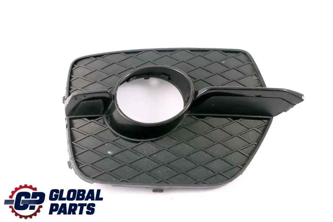 Paraurti Anteriore Fendinebbia Griglia Chiusa Lato Destro per BMW X6 E71 con numero di parte 7188384 BMW X6 E71 Paraurti Anteriore Fendinebbia Griglia Chiusa Lato Destro - SKU 7188384 - Numero di parte 7188384