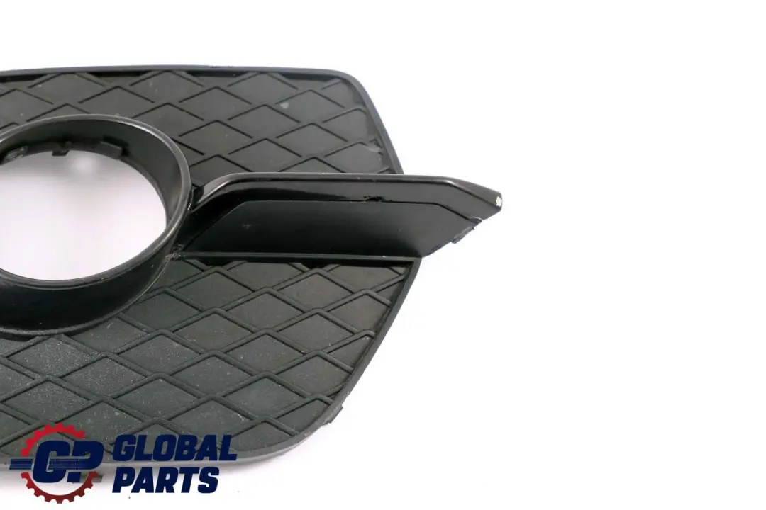 BMW X6 Series E71 Front Bumper Fog Light Closed Grill Right Side O/S - SKU 7188384 - Part number 7188384