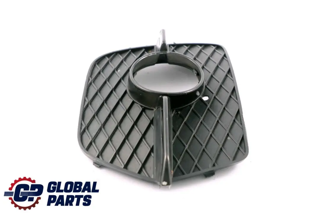 Paraurti Anteriore Fendinebbia Griglia Chiusa Lato Destro per BMW X6 E71 con numero di parte 7188384 BMW X6 E71 Paraurti Anteriore Fendinebbia Griglia Chiusa Lato Destro - SKU 7188384 - Numero di parte 7188384