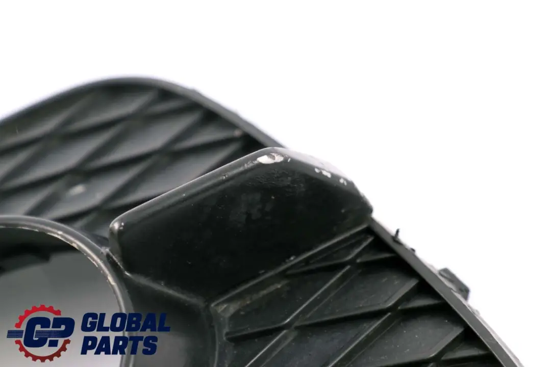 Paraurti Anteriore Fendinebbia Griglia Chiusa Lato Destro per BMW X6 E71 con numero di parte 7188384 BMW X6 E71 Paraurti Anteriore Fendinebbia Griglia Chiusa Lato Destro - SKU 7188384 - Numero di parte 7188384