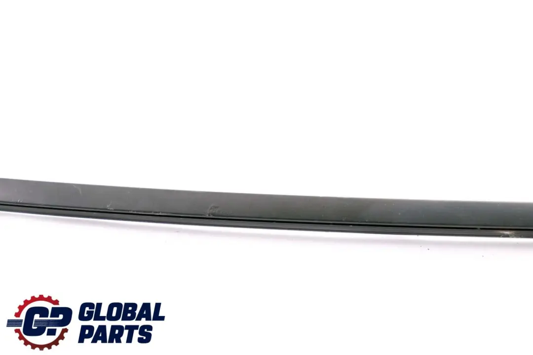 BMW X6 er E71 Blende Fensterrahmen Oben Tür Vorne Links Schwarz - SKU 7189089 - Teilenummer 7189089