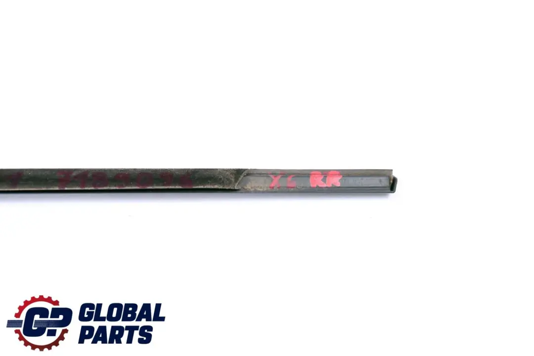 Puerta Trasera Derecha Burlete Exterior Negro para BMW X6 Serie E71 con número de pieza 7189096 BMW X6 Serie E71 Puerta Trasera Derecha Burlete Exterior Negro - SKU 7189096 - Número de pieza 7189096