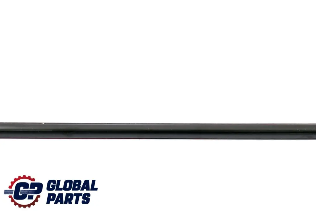 BMW X6 Series E71 Rear Right O/S Door Outer Weatherstrip Seal Black - SKU 7189096 - Part number 7189096