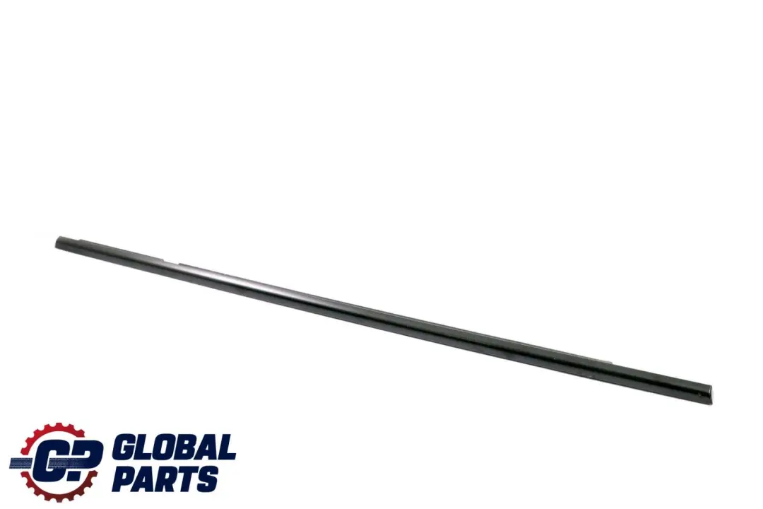BMW X6 Series E71 Rear Right O/S Door Outer Weatherstrip Seal Black - SKU 7189096 - Part number 7189096