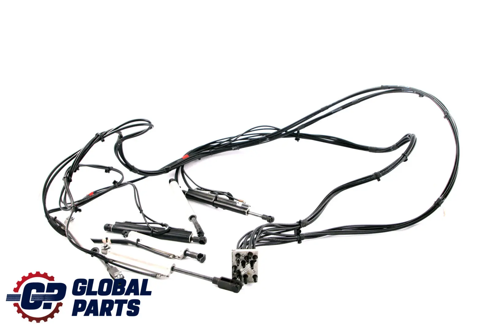 BMW E88 Techo Capo Compartimiento Tapa Bisagras Hidraulico Rams Completo