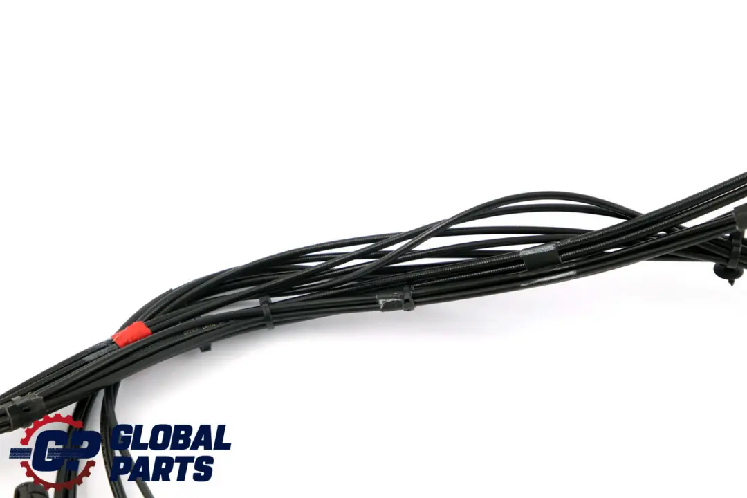 BMW E88 Techo Capo Compartimiento Tapa Bisagras Hidraulico Rams Completo - SKU 7190675 - Número de pieza 7190675