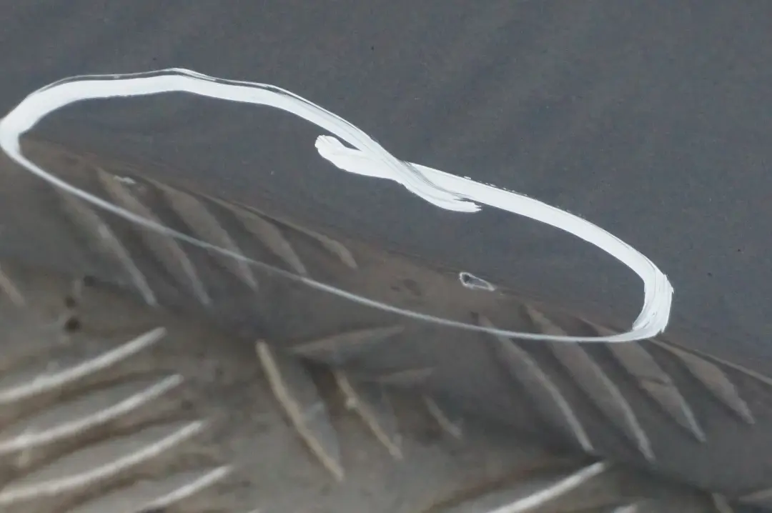 Cote Conducteur Porte avant Gauche Quartzbleu Bleu Metallique pour BMW 1 E87 LCI à propos du numéro de pièce 7191011 BMW 1 E87 LCI Cote Conducteur Porte avant Gauche Quartzbleu Bleu Metallique - SKU 7191011-QB6 - Numéro de pièce 7191011