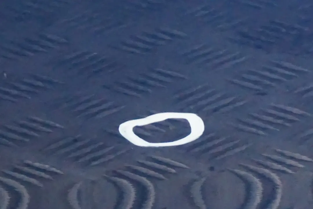 drzwi lewe przednie przód Sydney Blau A19 do BMW E87 o numerze 7191011 BMW E87 drzwi lewe przednie przód Sydney Blau A19 - SKU 7191011-SYD2 - Numer Części 7191011