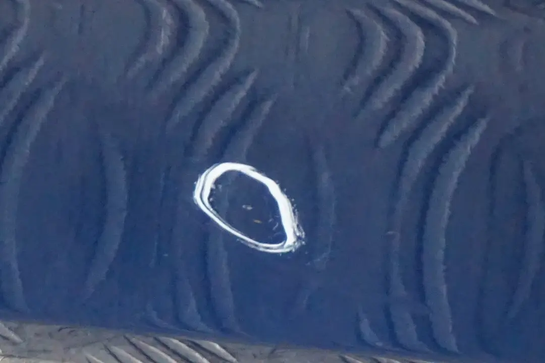 Fahrerseite Tür Vorne Links Sydneyblau Sydney Blau - A19 für BMW 1 er E87 1 mit Teilenummer 7191011 BMW 1 er E87 1 Fahrerseite Tür Vorne Links Sydneyblau Sydney Blau - A19 - SKU 7191011-SYD2 - Teilenummer 7191011