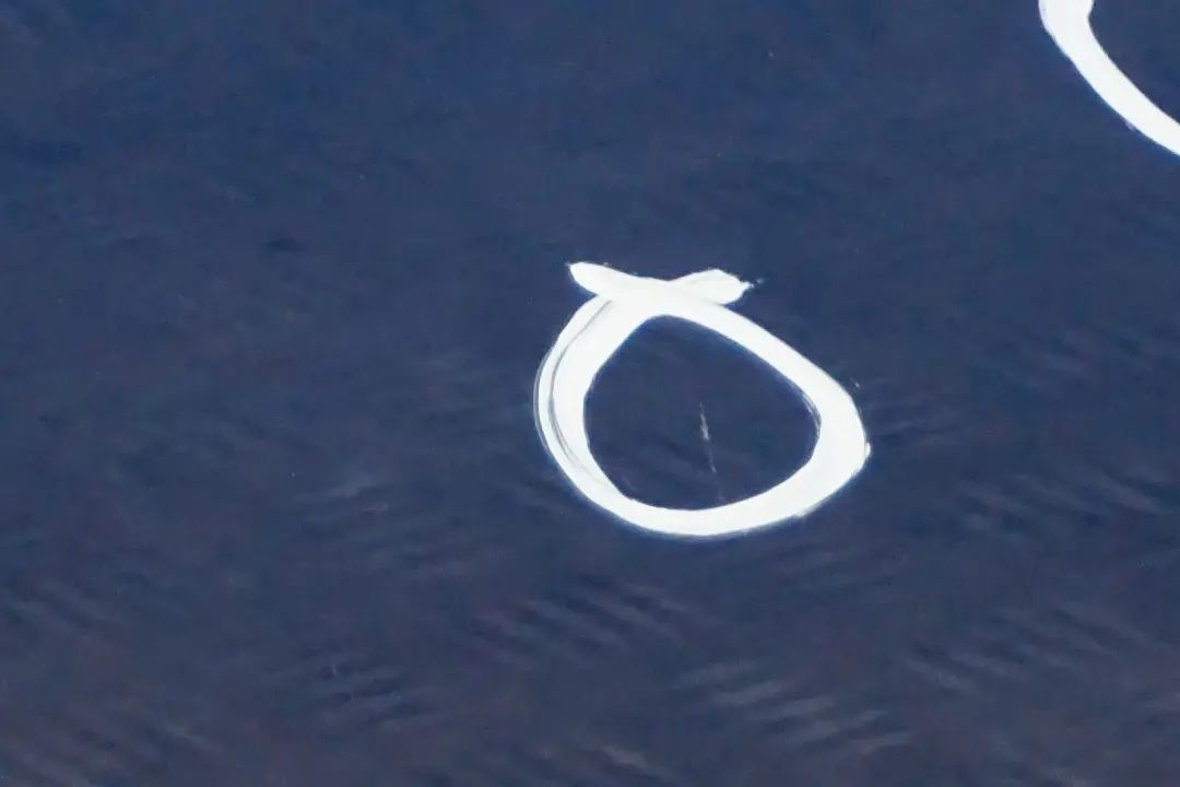 drzwi lewe przednie przód Sydney Blau A19 do BMW E87 o numerze 7191011 BMW E87 drzwi lewe przednie przód Sydney Blau A19 - SKU 7191011-SYD2 - Numer Części 7191011