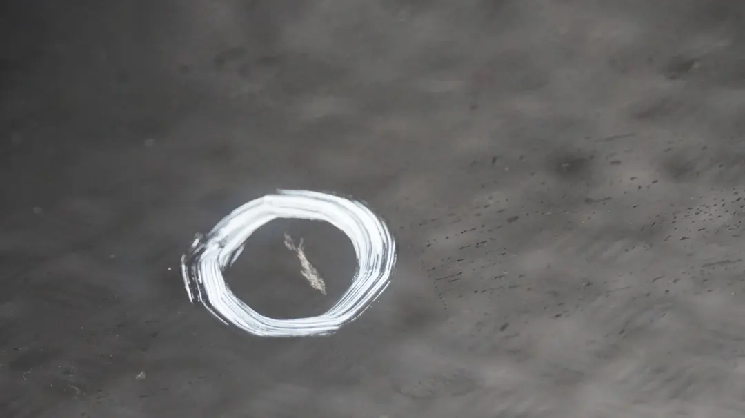 Puerta Delantera Derecha Zafiro Negro Metálico - 475 para BMW 20 E87 E87N con número de pieza 7191012 BMW 20 E87 E87N Puerta Delantera Derecha Zafiro Negro Metálico - 475 - SKU 7191012-BS20 - Número de pieza 7191012