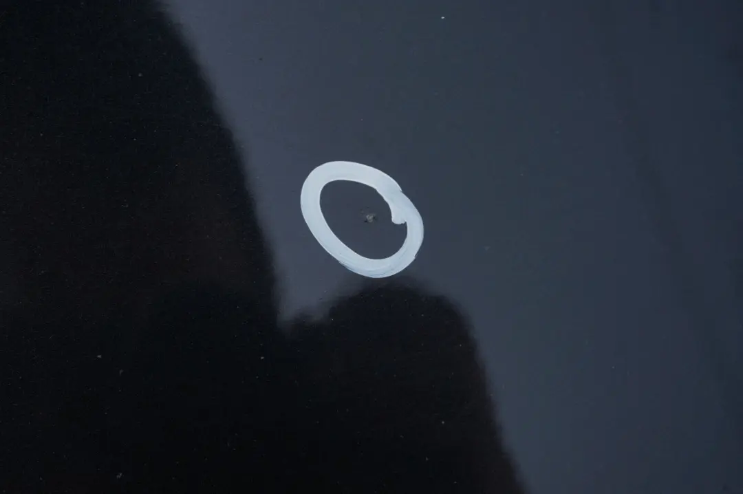 Droit Noir Saphir Metallique pour BMW E87 LCI Porte avant à propos du numéro de pièce 7191012 BMW E87 LCI Porte avant Droit Noir Saphir Metallique - SKU 7191012-BS27 - Numéro de pièce 7191012