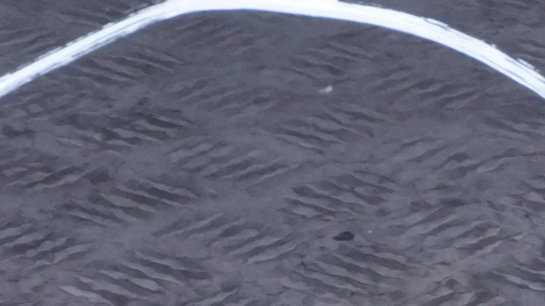 BMW 1 er E87 LCI Beifahrer Tür vorne rechts Black Sapphire Metallic 475 - SKU 7191012-BS32 - Teilenummer 7191012