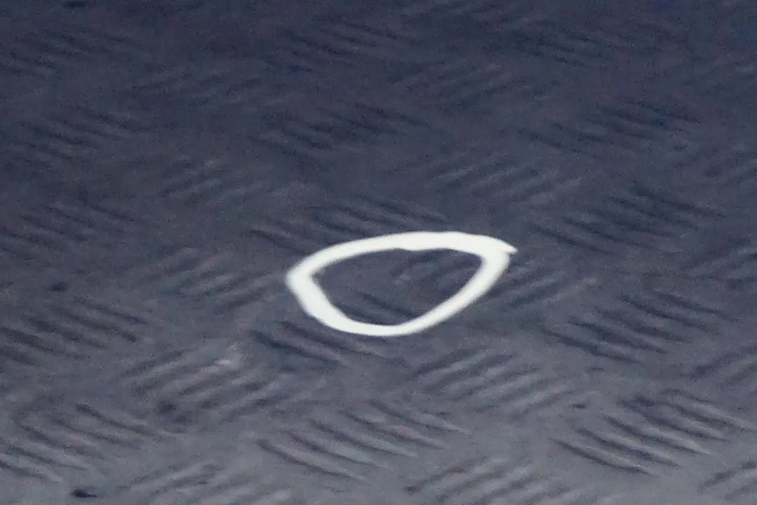 drzwi prawe przednie Le Mans Blau 381 do BMW 1 E87 o numerze 7191012 BMW 1 E87 drzwi prawe przednie Le Mans Blau 381 - SKU 7191012-LMB1 - Numer Części 7191012