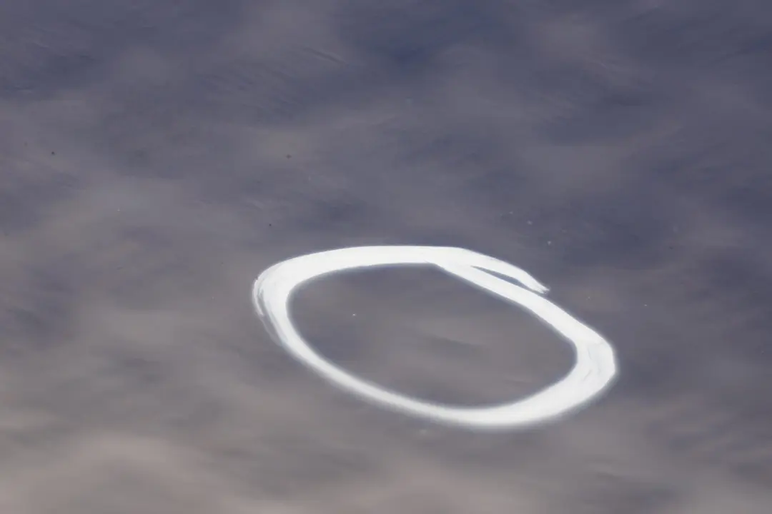 BMW 1 SERIES 3 E87 E87N Door Front Right O/S Montegoblau Montego Blau Blue - SKU 7191012-MTB3 - Part number 41517191012