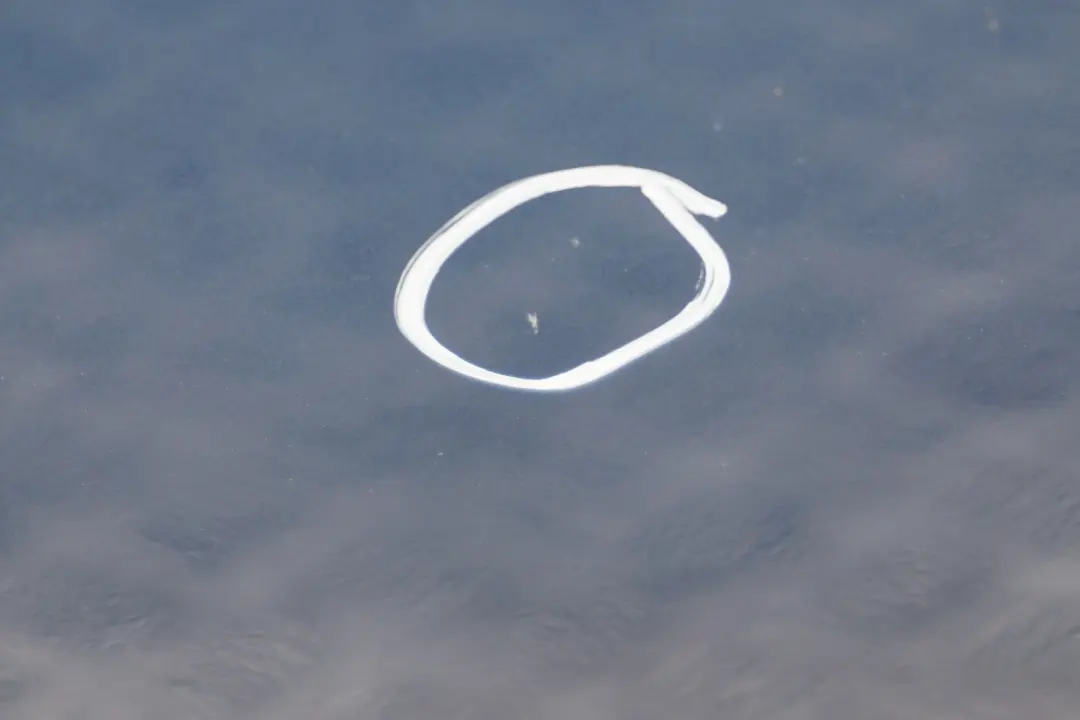 BMW E87 drzwi prawe przednie Sydney Blau A19 - SKU 7191012-SYD14 - Numer Części 7191012