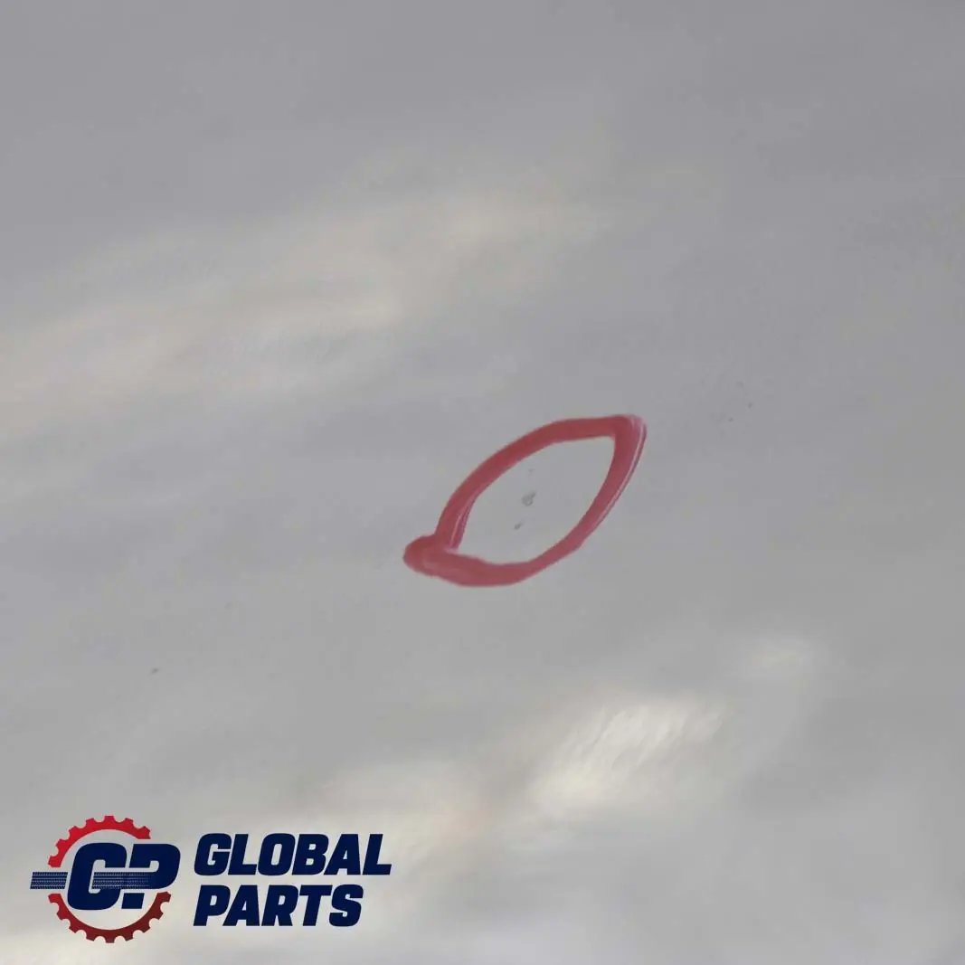 Beifahrer T?r vorne rechts Titansilber Silber Metallic für BMW 1 er E87 LCI mit Teilenummer 41517191012 BMW 1 er E87 LCI Beifahrer T?r vorne rechts Titansilber Silber Metallic - SKU 7191012-TS - Teilenummer 41517191012