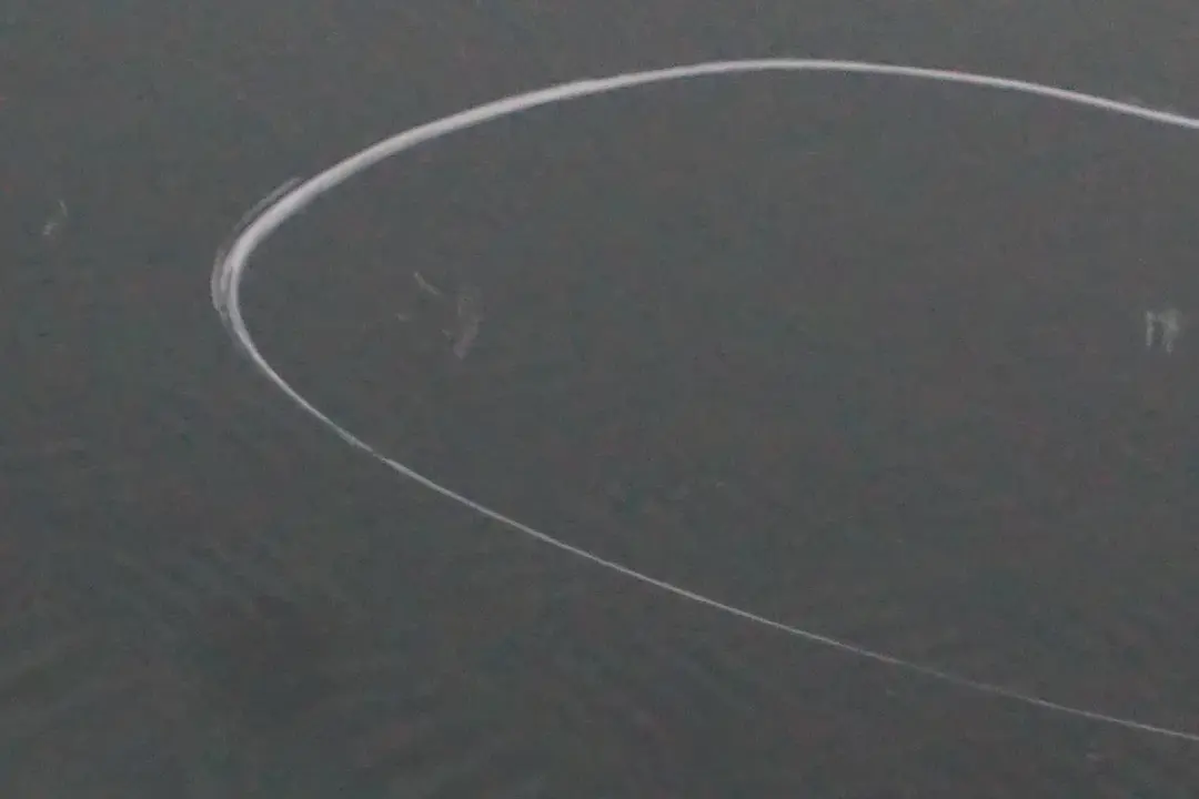 Fahrerseite Tür Hinten Links Patagoniagruen Patagonia Gruen - A71 für BMW 1 er E87 mit Teilenummer 7191017 BMW 1 er E87 Fahrerseite Tür Hinten Links Patagoniagruen Patagonia Gruen - A71 - SKU 7191017-PTG - Teilenummer 7191017