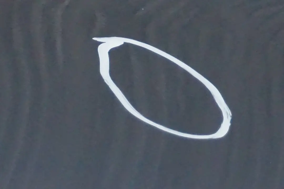 BMW 1 Series 3 E87 Door Rear Left N/S Quarzblau Blue Metallic - A18 - SKU 7191017-QB3 - Part number 7191017