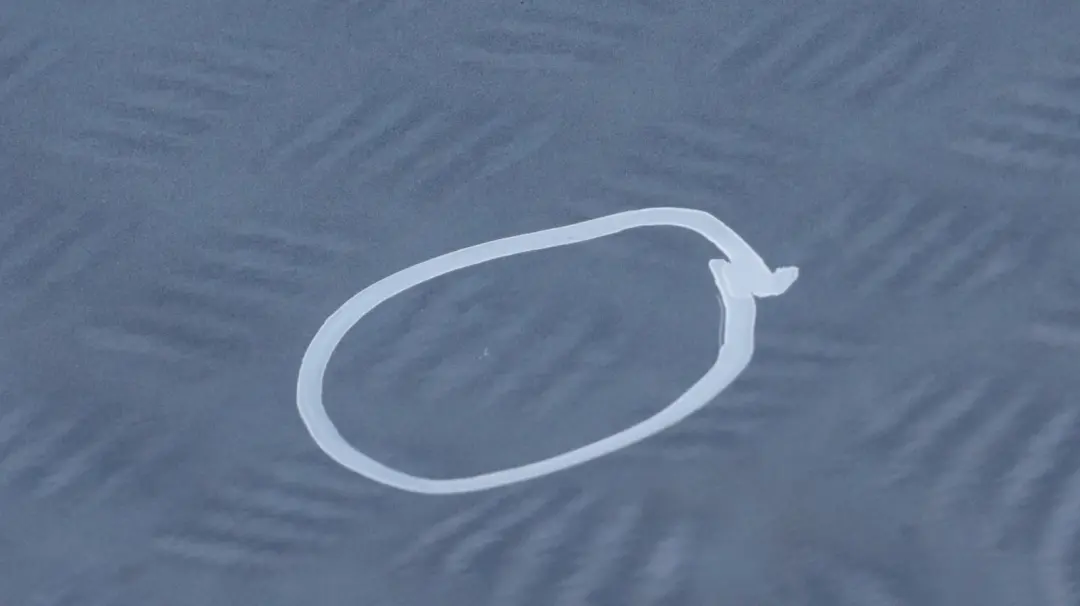 BMW 1 SERIES 19 E87 E87N Door rear right O/S Quarzblau Blau Blue Metallic - A18 - SKU 7191018-QB19 - Part number 7191018