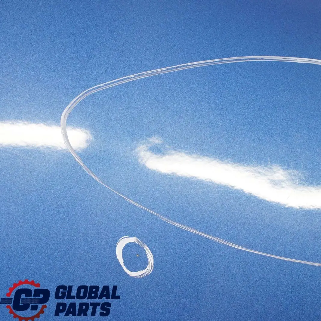 Porta posteriore destra Sydneyblau Sydney Blau Blue - A19 per BMW 5 E87 con numero di parte 7191018 BMW 5 E87 Porta posteriore destra Sydneyblau Sydney Blau Blue - A19 - SKU 7191018-SYD5 - Numero di parte 7191018