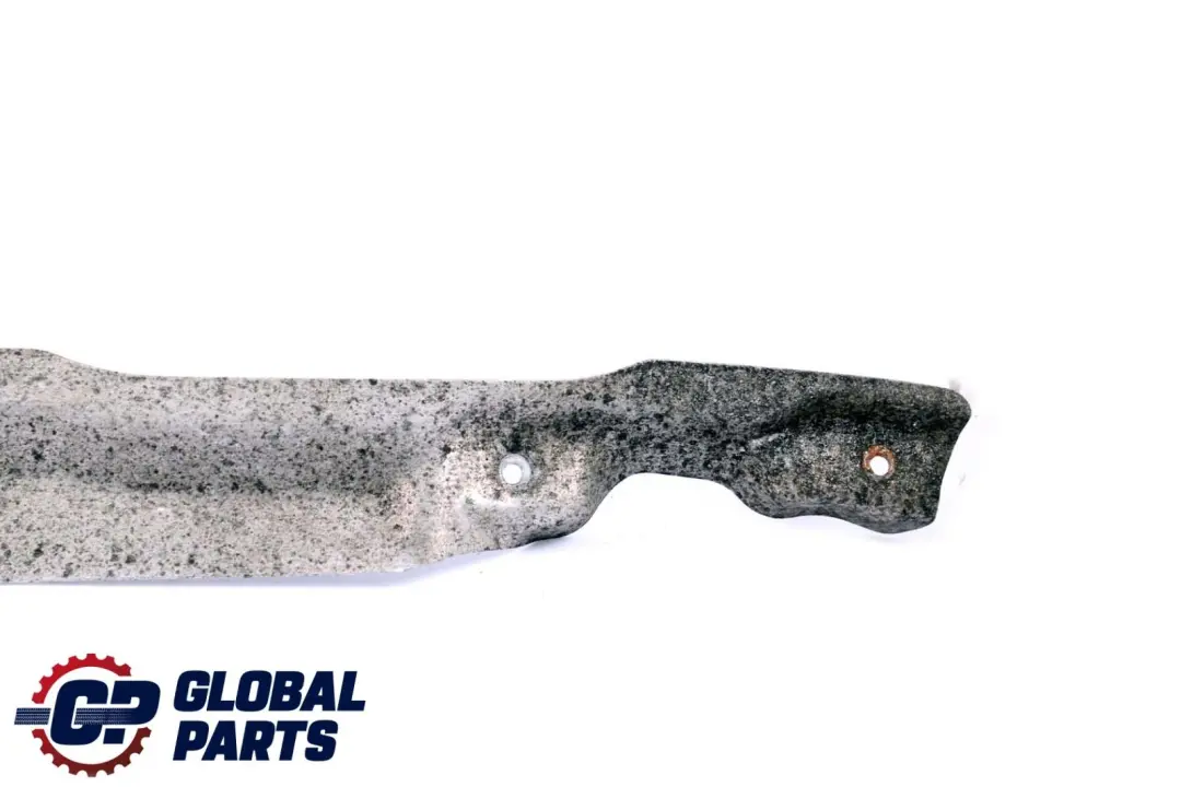 Wärmeschutzblech Hitzebeständige Platte Hinten für BMW X6 er E71 E72 mit Teilenummer 7191943 BMW X6 er E71 E72 Wärmeschutzblech Hitzebeständige Platte Hinten - SKU 7191943 - Teilenummer 7191943