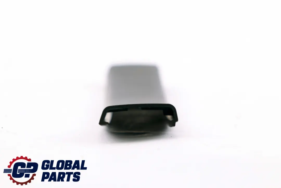 BMW F10 Finestrino Posteriore Destro Guida Web Cover Trim Nero - SKU 7199308 - Numero di parte 7199308