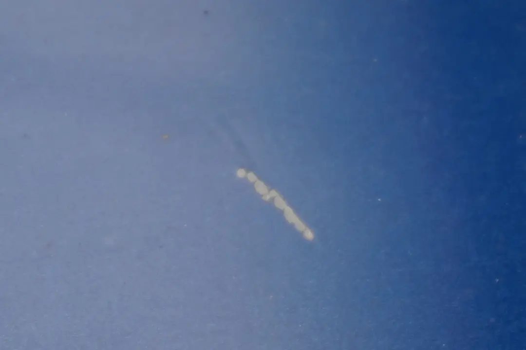 Complete Retractable Roof Hardtop Mechanism to BMW 3 Series E93 Cabrio Convertible with Part number 7199572 BMW 3 Series E93 Cabrio Convertible Complete Retractable Roof Hardtop Mechanism - SKU 7199572 - Part number 7199572