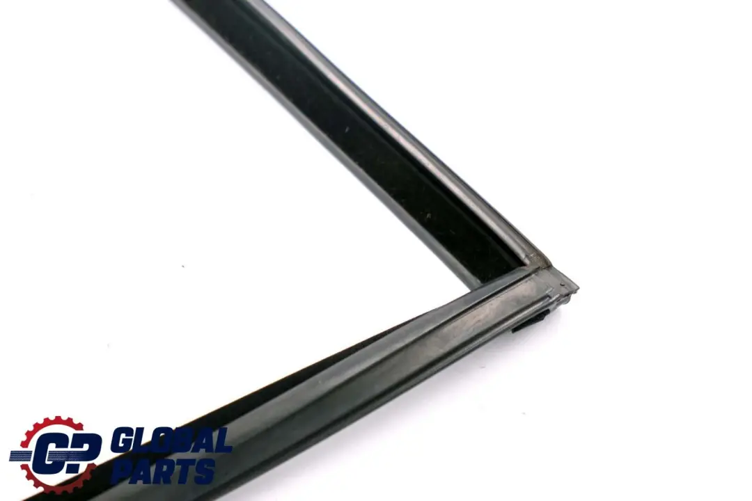 BMW F11 Kombi Fensterführung Tür Hinten Links - SKU 7199779 - Teilenummer 7199779