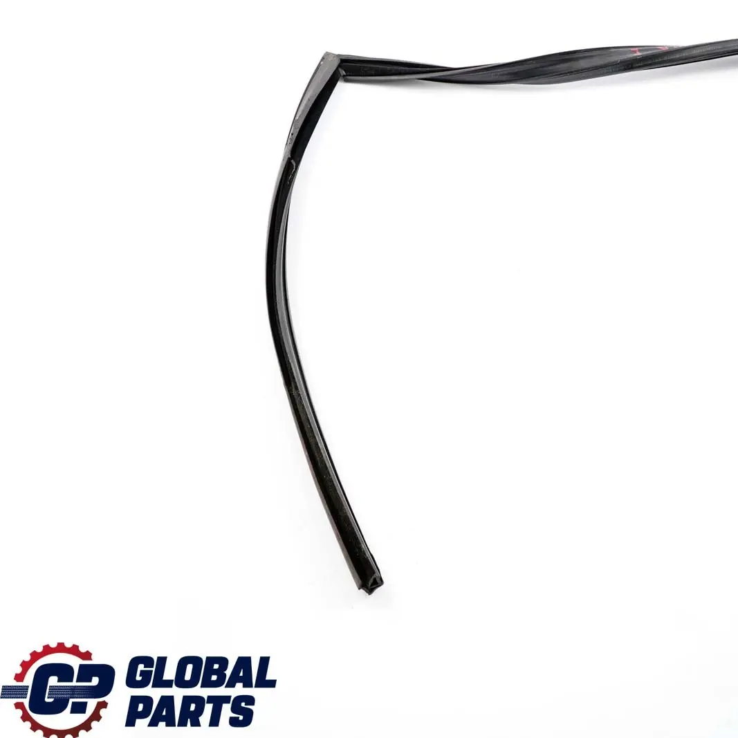 Guida Finestrino Porta Posteriore Destra Guarnizione per BMW F11 Touring con numero di parte 7199780 BMW F11 Touring Guida Finestrino Porta Posteriore Destra Guarnizione - SKU 7199780 - Numero di parte 7199780
