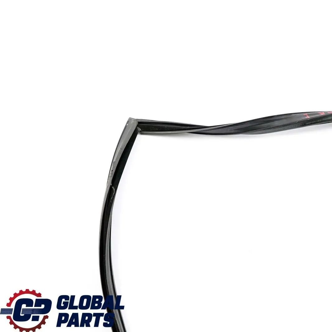 F11N LCI Touring Guía Ventana Puerta Trasera Derecha Seal para BMW F11 con número de pieza 7199780 BMW F11 F11N LCI Touring Guía Ventana Puerta Trasera Derecha Seal - SKU 7199780 - Número de pieza 7199780