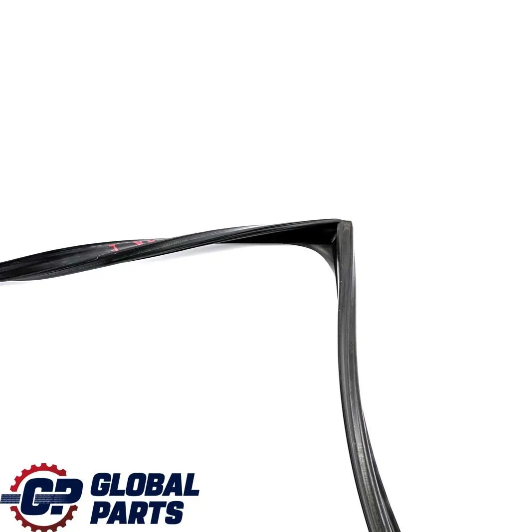 BMW F11 Touring Guida Finestrino Porta Posteriore Destra Guarnizione - SKU 7199780 - Numero di parte 7199780