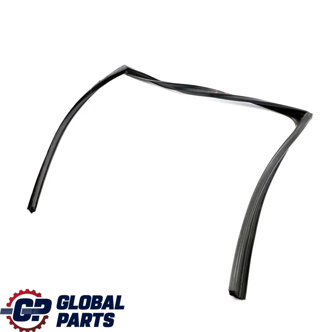 BMW F11 Touring Guida Finestrino Porta Posteriore Destra Guarnizione - SKU 7199780 - Numero di parte 7199780
