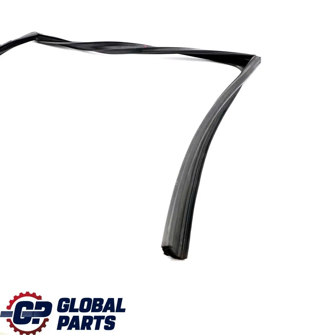BMW F11 Touring Guida Finestrino Porta Posteriore Destra Guarnizione - SKU 7199780 - Numero di parte 7199780