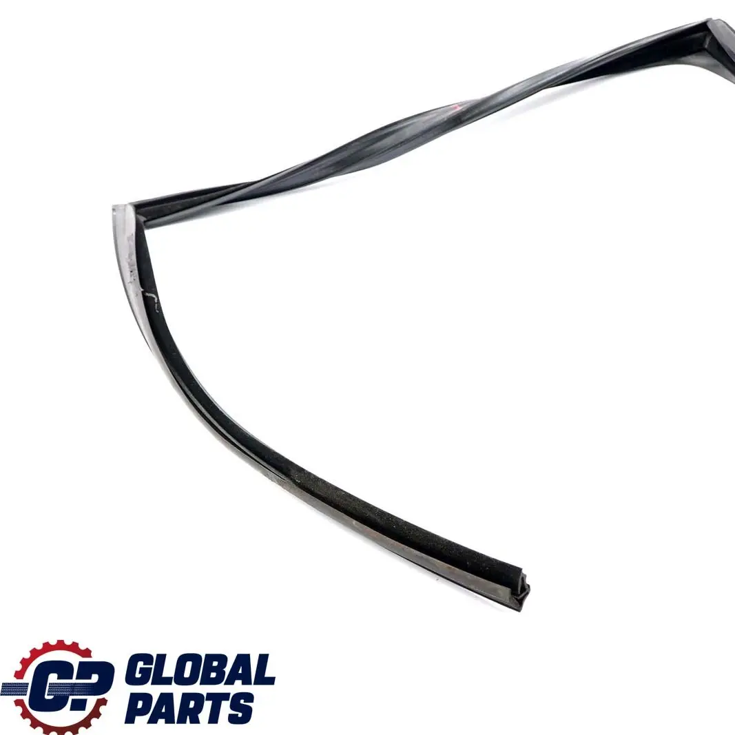 BMW F11 Touring Guida Finestrino Porta Posteriore Destra Guarnizione - SKU 7199780 - Numero di parte 7199780