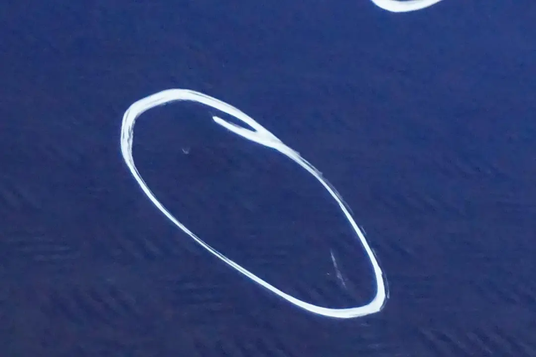 Porta Davanti SX Montegoblau Montego Blu Metallizzato - A51 per BMW E92 2 E93 con numero di parte 7200569 BMW E92 2 E93 Porta Davanti SX Montegoblau Montego Blu Metallizzato - A51 - SKU 7200569-MTB2 - Numero di parte 7200569