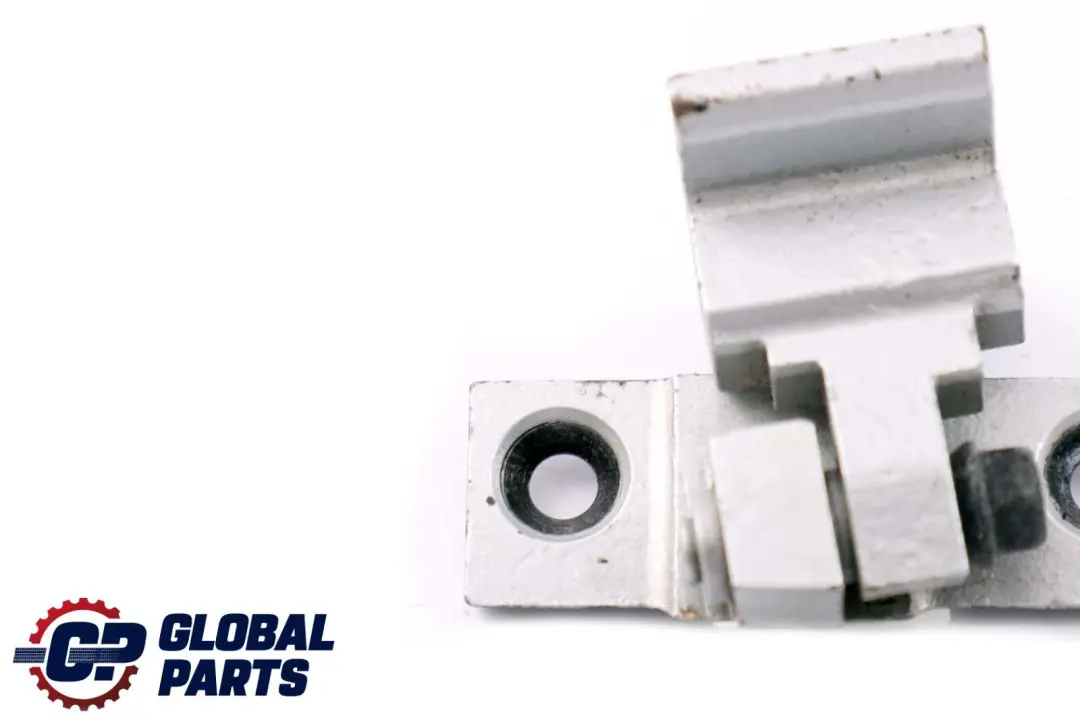 Trasera Derecha O/S Puerta Bisagra Superior Titansilber Plata 354 para BMW 5 E60 E61 con número de pieza 7201304 BMW 5 E60 E61 Trasera Derecha O/S Puerta Bisagra Superior Titansilber Plata 354 - SKU 7201304-TS - Número de pieza 7201304