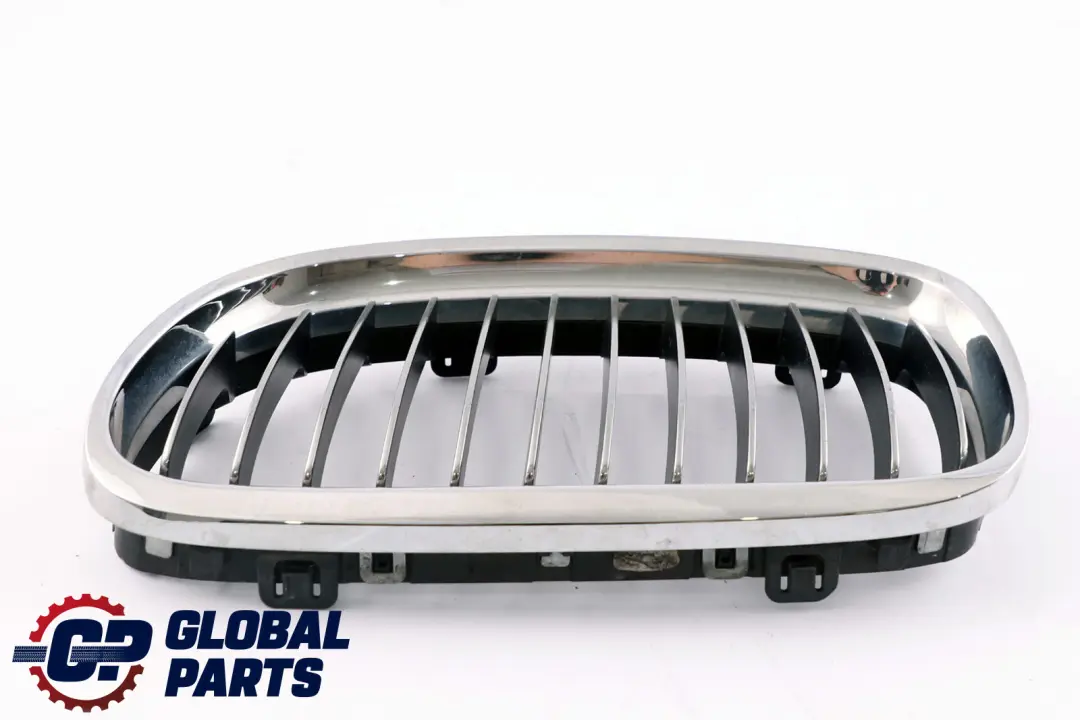 BMW E90 E91 LCI Parachoques delantero Centro Rejilla Cromo Izquierda - SKU 7201969 - Número de pieza 7201969