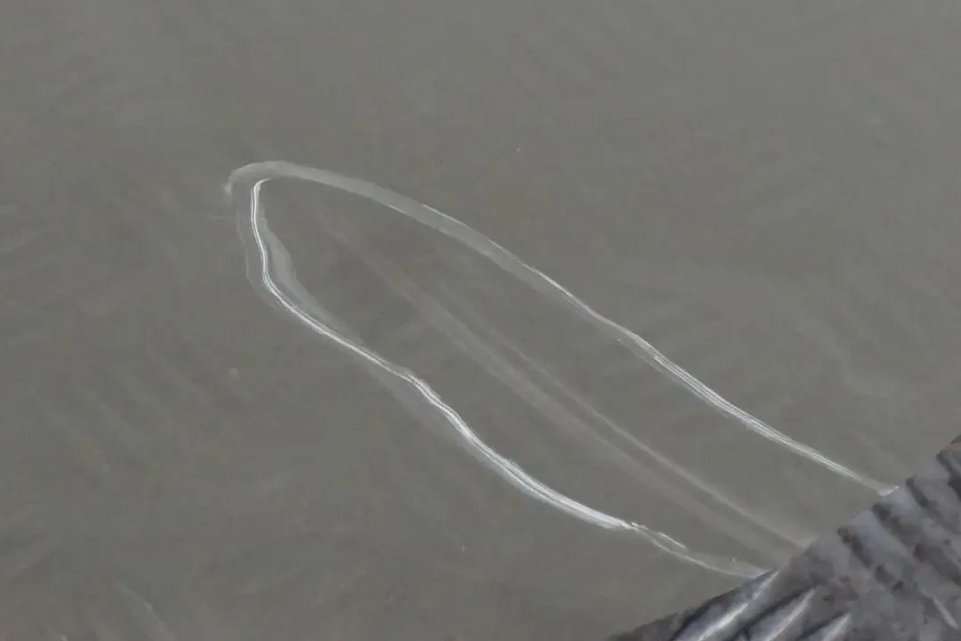 Tür Vorne Links Mineralsilber Mineral Silber Metallic - A14 für BMW 6 er E63 E64 mit Teilenummer 7202075 BMW 6 er E63 E64 Tür Vorne Links Mineralsilber Mineral Silber Metallic - A14 - SKU 7202075-MS - Teilenummer 7202075