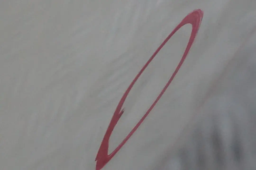 Puerta Delantera Derecha Alpinweiss Blanco Alpino - 300 para BMW E65 E66 con número de pieza 7202082 BMW E65 E66 Puerta Delantera Derecha Alpinweiss Blanco Alpino - 300 - SKU 7202082-AW - Número de pieza 7202082