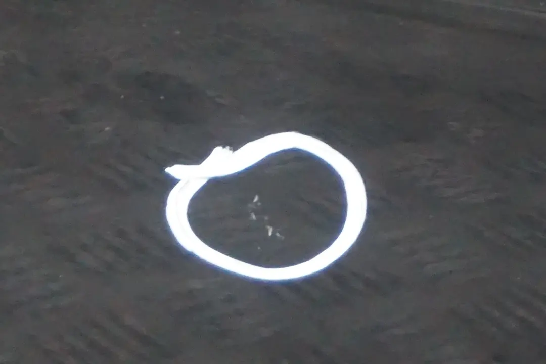 BMW 7 Series E65 E66 Door Front Right O/S Titangrau Titan Grey Metallic - A36 - SKU 7202082-TGR - Part number 7202082