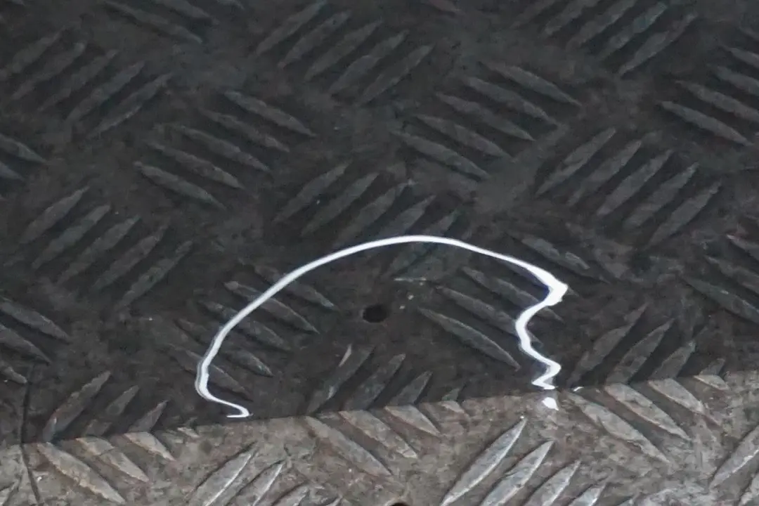 Puerta Delantera Derecha Verde Oxfordgruen Metalizado - 430 para BMW E65 E66 con número de pieza 7202082 BMW E65 E66 Puerta Delantera Derecha Verde Oxfordgruen Metalizado - 430 - SKU 7202082-OXF - Número de pieza 7202082