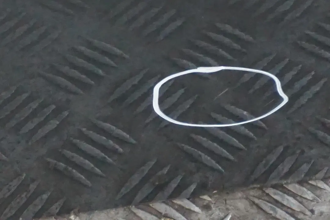 Beifahrer Tür Hinten Rechts Titangrau Titan Grey Metallic A36 für BMW 7 er E65 1 mit Teilenummer 7202084 BMW 7 er E65 1 Beifahrer Tür Hinten Rechts Titangrau Titan Grey Metallic A36 - SKU 7202084-TGR1 - Teilenummer 7202084