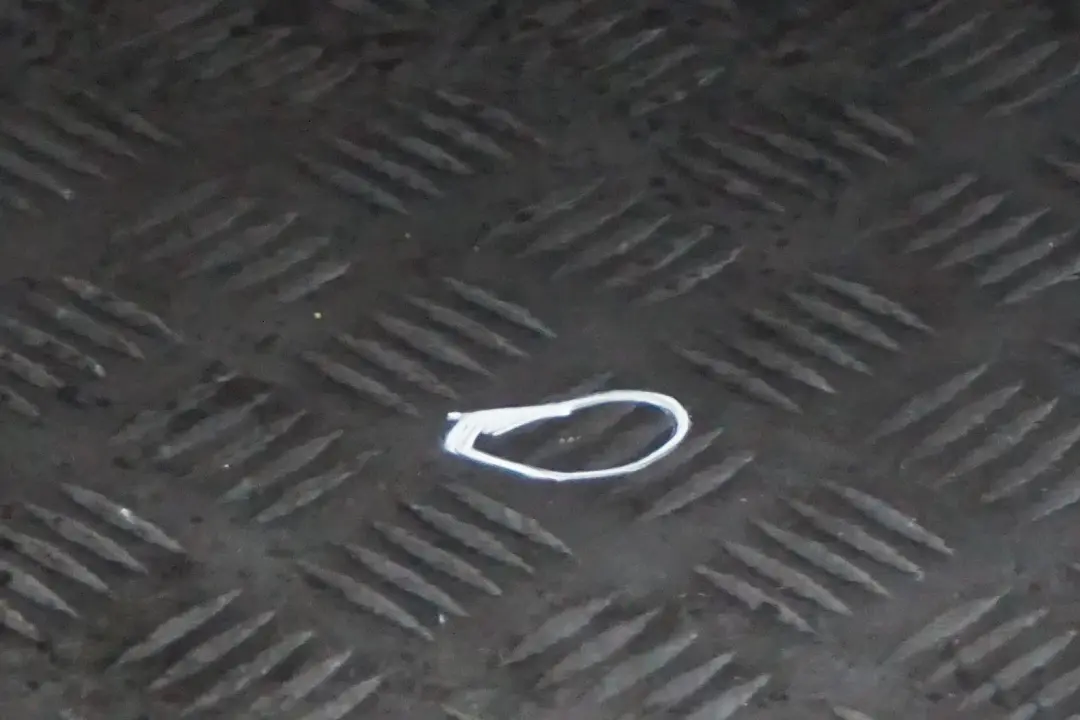 Door Rear Right O/S Black Sapphire Metallic - 475 to BMW 7 Series E66 Long with Part number 7202090 BMW 7 Series E66 Long Door Rear Right O/S Black Sapphire Metallic - 475 - SKU 7202090-BS - Part number 7202090