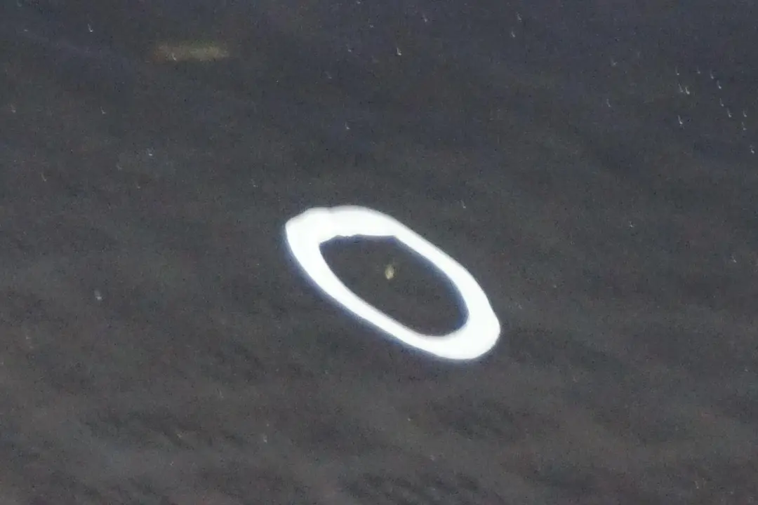 Drzwi lewe przednie Tiefseeblau do BMW E60 E61 o numerze 7202339 BMW E60 E61 Drzwi lewe przednie Tiefseeblau - SKU 7202339-DSB - Numer Części 7202339