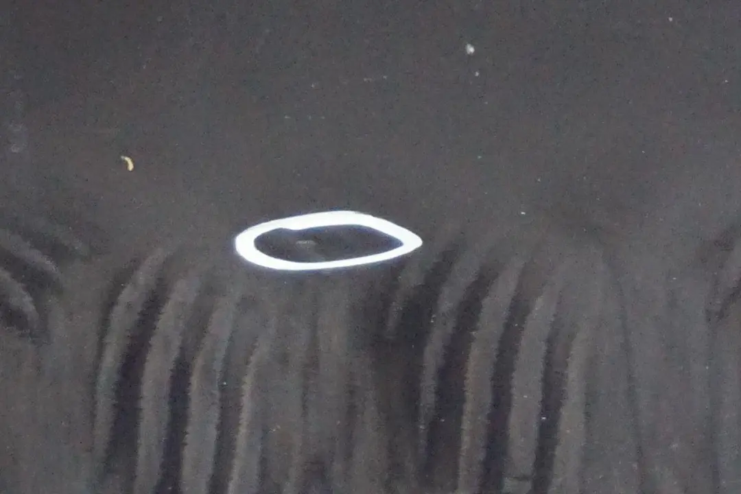 Door Front Right O/S Tiefseeblau Deep Sea Blue - A76 to BMW 5 Series E60 E61 with Part number 7202340 BMW 5 Series E60 E61 Door Front Right O/S Tiefseeblau Deep Sea Blue - A76 - SKU 7202340-DSB1 - Part number 7202340