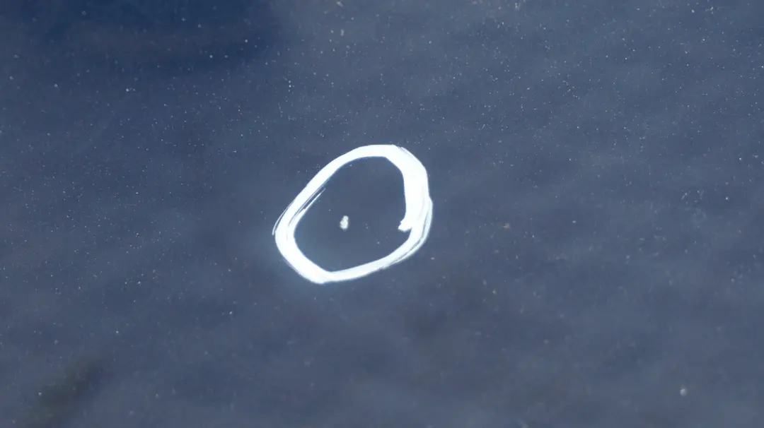 Cote Conducteur Porte Arriere Gauche Bleu Fonce Metallise - A76 pour BMW E60 LCI à propos du numéro de pièce 7202341 BMW E60 LCI Cote Conducteur Porte Arriere Gauche Bleu Fonce Metallise - A76 - SKU 7202341-DSB - Numéro de pièce 7202341